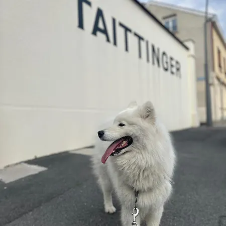 Maison Au Coeur Des Caves De Champagnes Appartamento *